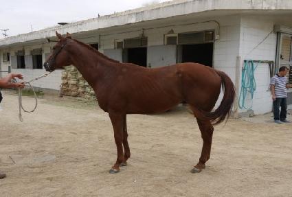 ����õ�� ����