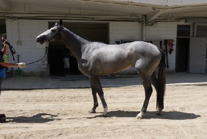 ���������� ����