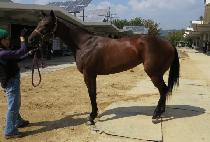 ��οͺ��� (MODU WA BOA) ����