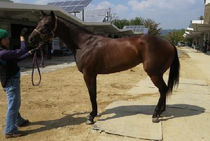 ��οͺ��� ����