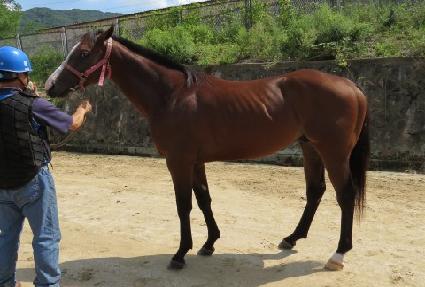 �������̾� ����