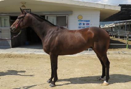 �Ƹ�Ž�Ʈ ����