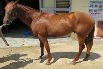 ���� (BYEOLDU) ����