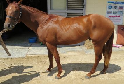 ���� ����