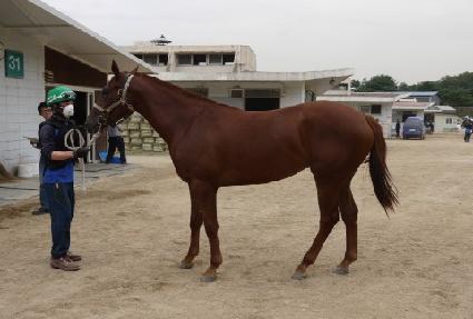 ���̷���ÿ ����