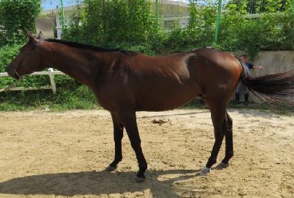 �������� ����