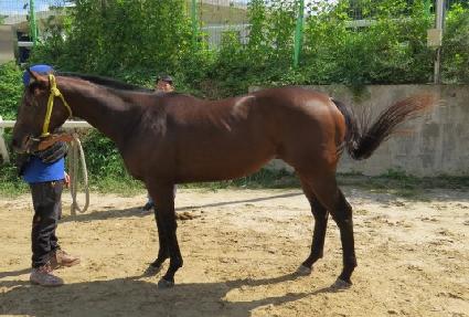 ��Ʈ���ڵ� ����