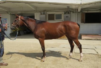 �����ε�� ����