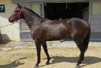 ö�� (CHEOLDU) ����