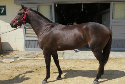 ö�� ����