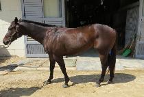 �޷������ (DALLYEORA  BEONGAE) ����