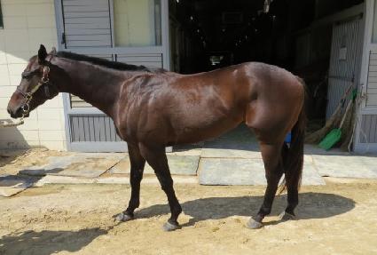 �޷������ ����