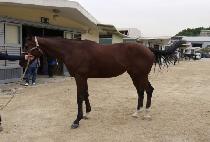 ��ũ�·��� (BANK ON LOVE) ����