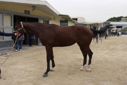 ��ũ�·��� ����