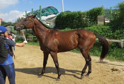 �����ȣź ����