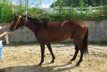 ����ŷ���� (MY KING DAY) ����