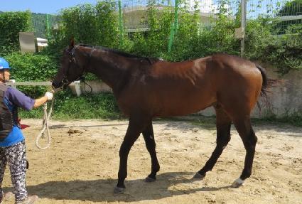 ���ϵ�̽��͸� ����