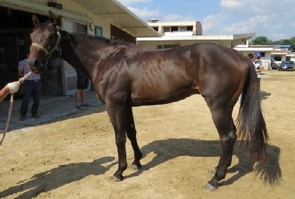 ���Ǻ�� ����