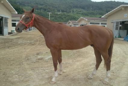 ������ ����