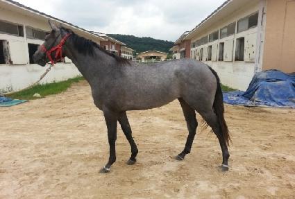 �ְ��÷��� ����