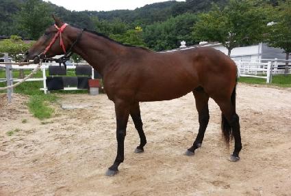 �踲������ ����