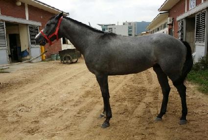 ���ο��Ģ ����