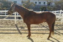 ����Ʈ������ (BEST ITEM) ����