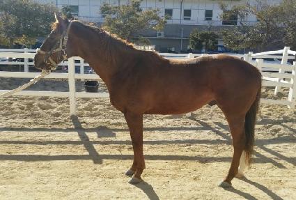 ����Ʈ������ ����