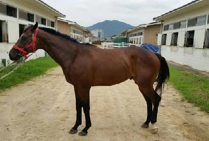 ǲ�չ��� ����