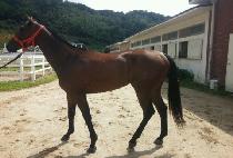 ���������� (READY WHEN YOU ARE) ����