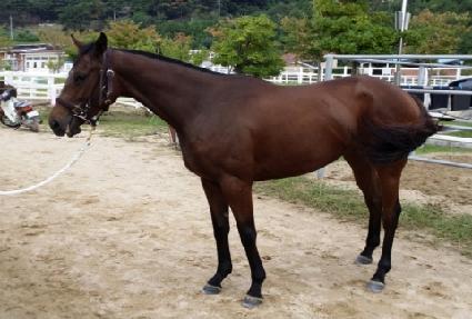 �����͵� ����