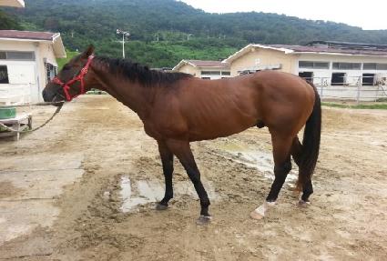 ������̶� ����