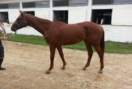 �ʷϻ� ����