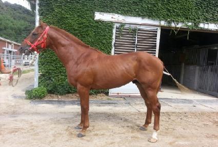 ���������� ����