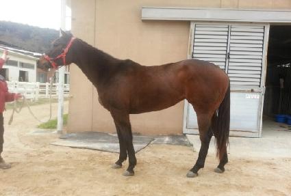 ���̵����� ����