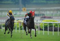 ���ĵ帮�� (EL PADRINO) ����