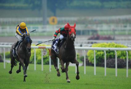 ���ĵ帮�� ����