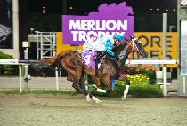 ���ǵ�Ĺ (SPEEDY CAT) ����