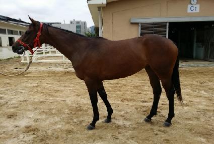 ���Ʈ���� ����