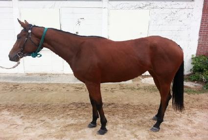 ���������� ����