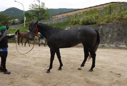 ����Ʈ��ũ ����