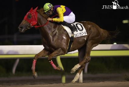 ���ݶ󺣸� ����