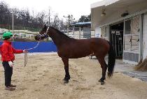 ������ġ (WONDER PUNCH) ����