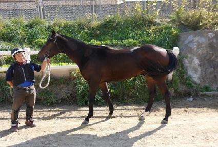 ���ȣ�� ����