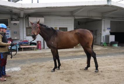 ������� ����