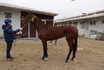 �巡������� (DRAGON VILLAGE) ����