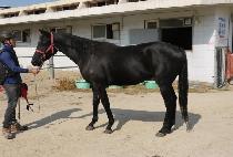 ��û�� (JWACHEONGNYONG) ����