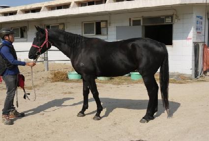 ��û�� ����