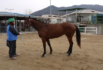 �ǹ����� ����