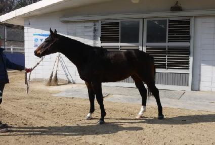 ��Ƽ���� ����